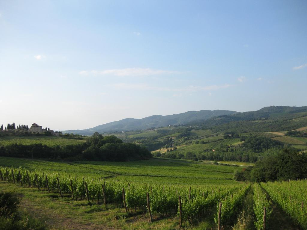 Casa Billi Villa Figline Valdarno Rom bilde